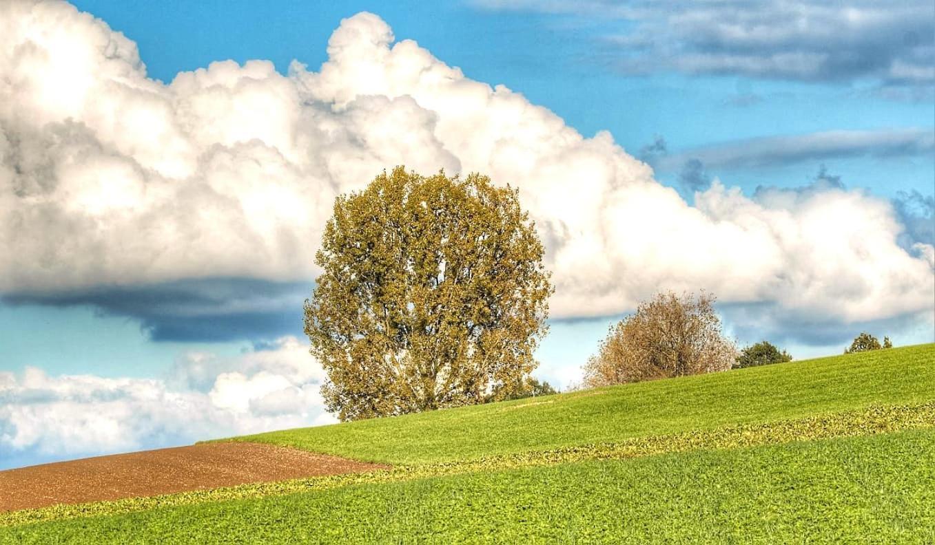 Hoeve Hofgaarde Heers Экстерьер фото