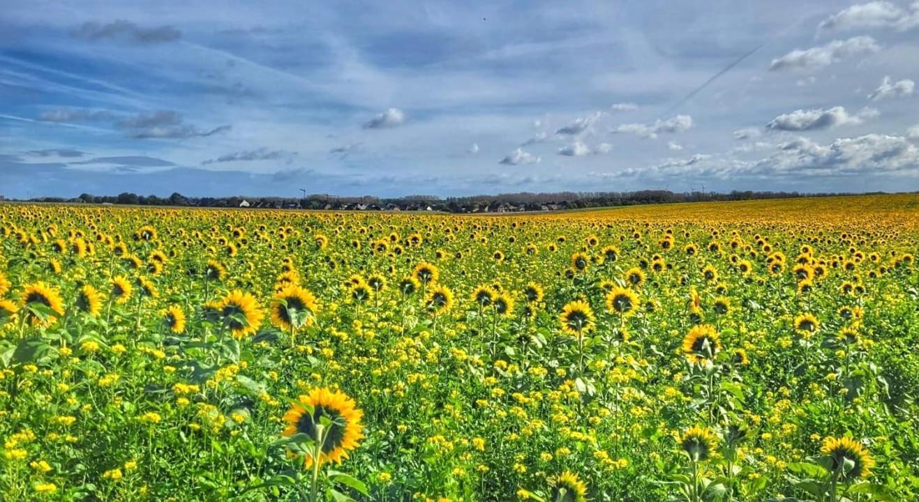 Hoeve Hofgaarde Heers Экстерьер фото