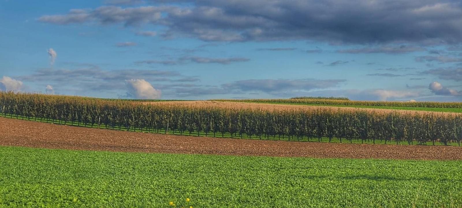 Hoeve Hofgaarde Heers Экстерьер фото